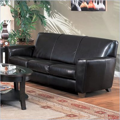 Coaster Furniture Bycast Espresso Brown Leather Sofa