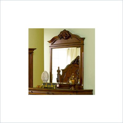 Coaster  Mirror in Rich Brown