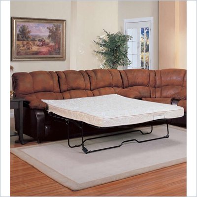 Coaster Ronan Palomino Brown Queen Sleeper Sofa