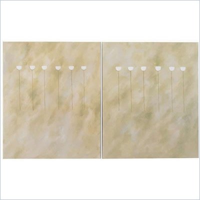 Coaster 2-Piece Wall Art - Illusion