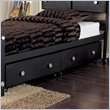 Powell Furniture Z-Bedroom 2-Drawer Underbed Storage Unit