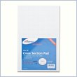 ADD TO YOUR SET: Ampad Cross-section Quadrille Pads