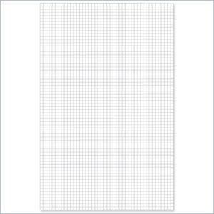 Ampad Faint Blue Ink 1-Sided Quadrille Pad