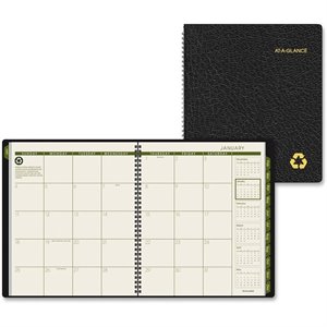 At-A-Glance Professional Monthly Planner