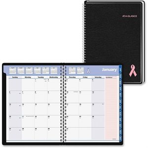 At-A-Glance QuickNotes Special Edition Appointment Book