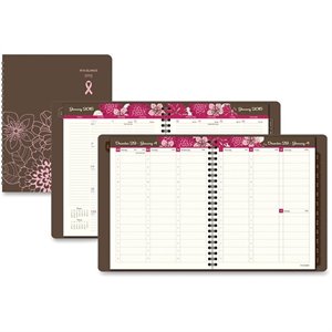 At-A-Glance Sorbet Weekly/Monthly Appointment Book