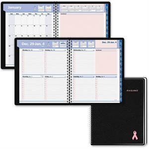 At-A-Glance QuickNotes Breast Cancer Appointment Book