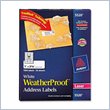 ADD TO YOUR SET: Avery Weather Proof Mailing Label
