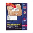 ADD TO YOUR SET: Avery Weather Proof Mailing Label