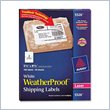ADD TO YOUR SET: Avery Weather Proof Mailing Label