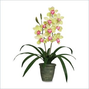 Baumgartens Sunny Cymbidium Handmade Artificial Flower with Ceramic Pot