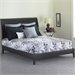 Fashion Bed Group Java Modern Platform Bed in Black Finish