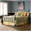 Fashion Bed Group Bianca Iron Poster Bed in Hammered Pewter Finish