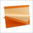 ADD TO YOUR SET: Esselte Hanging Folder