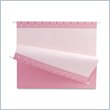 ADD TO YOUR SET: Esselte Hanging Folder
