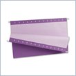 ADD TO YOUR SET: Esselte Hanging Folder