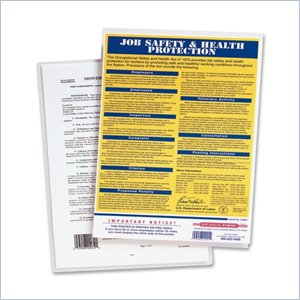 Fellowes Glossy Pouch