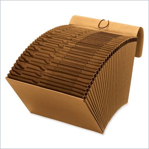 Globe-Weis Accordion Kraft Expanding Daily File