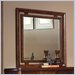 Standard Pacific Rim Deep Mocha Mirror