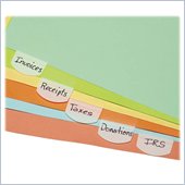 LEE Removable Hefty Index Tab