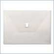 ADD TO YOUR SET: Lion Design-R-Line Poly Envelope