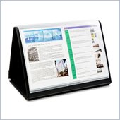 Lion Flip-N-Tell Display Book-N-Easels