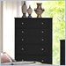 Hillsdale Dio Chest in Black Finish
