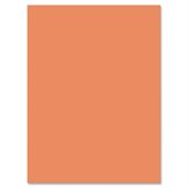 Nature Saver Smooth Texture Construction Paper