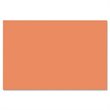 ADD TO YOUR SET: Nature Saver Smooth Texture Construction Paper