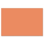 Nature Saver Smooth Texture Construction Paper