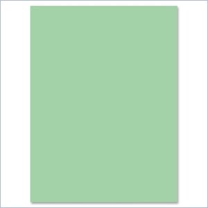 Nature Saver Smooth Texture Construction Paper