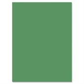 Nature Saver Smooth Texture Construction Paper