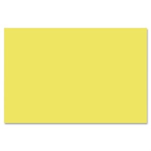 Nature Saver Smooth Texture Construction Paper