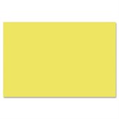 Nature Saver Smooth Texture Construction Paper