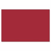 Nature Saver Smooth Texture Construction Paper
