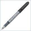 ADD TO YOUR SET: Pilot Varsity Disposable Fountain Pen