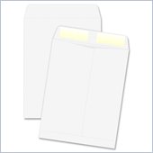 Quality Park Catalog Envelope