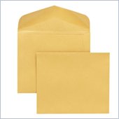 Quality Park Extra Heavy-Duty Document Envelope