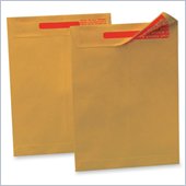 Quality Park Tamper-indicating Envelope