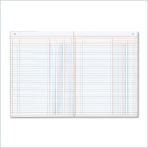 Rediform Granite-grain Single Page Columnar Book