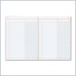 ADD TO YOUR SET: Rediform Granite-grain Single Page Columnar Book