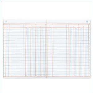 Rediform Granite-grain Single Page Columnar Book