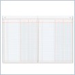 ADD TO YOUR SET: Rediform Granite-grain Single Page Columnar Book
