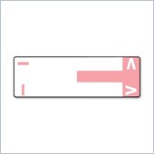 Smead AlphaZ NCC Color Coded Name Label