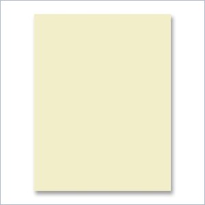 Sparco Premium-Grade Pastel Color Copy Paper