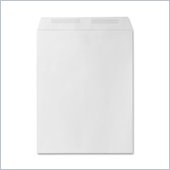 Sparco Plain Cataloge Envelope