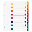 ADD TO YOUR SET: Sparco Quick Index Divider with Table Of Contents Page