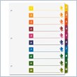 ADD TO YOUR SET: Sparco Quick Index Divider with Table Of Contents Page