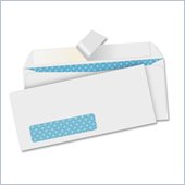 Sparco Security Window Envelopes