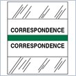 ADD TO YOUR SET: Tabbies Medical Chart Index Divider Tab